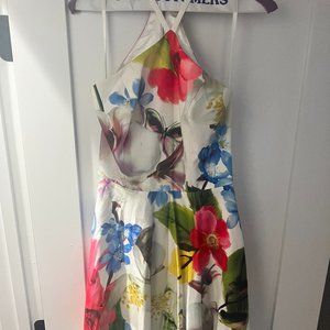 Ted Baker Dress